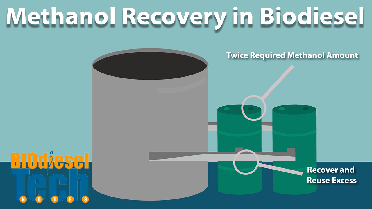 Methanol Recovery in Biodiesel Production